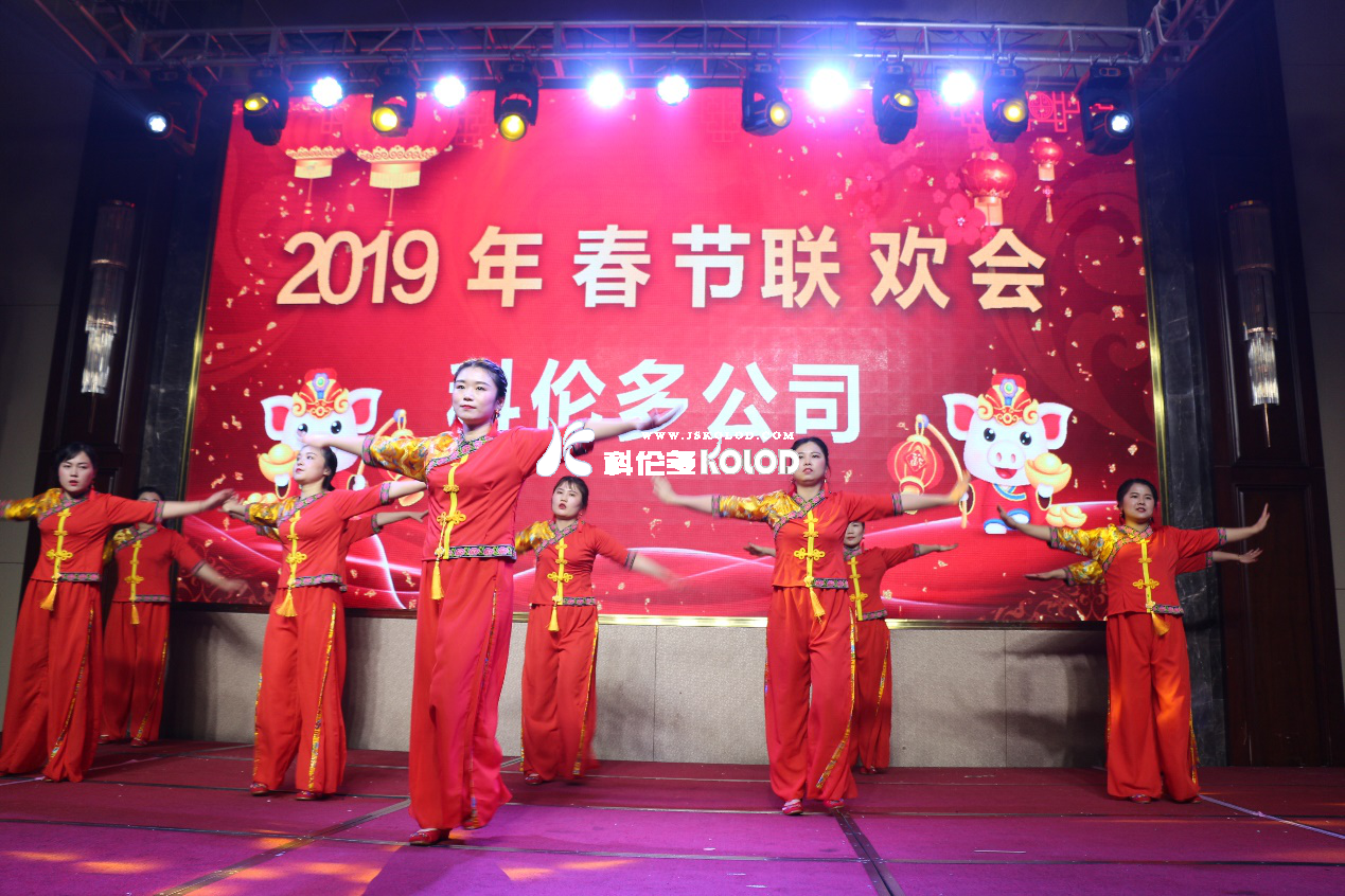 凱歌高奏辭舊歲，豪情滿(mǎn)懷迎新年 （科倫多隆重舉行2019春節聯(lián)歡晚會(huì )）